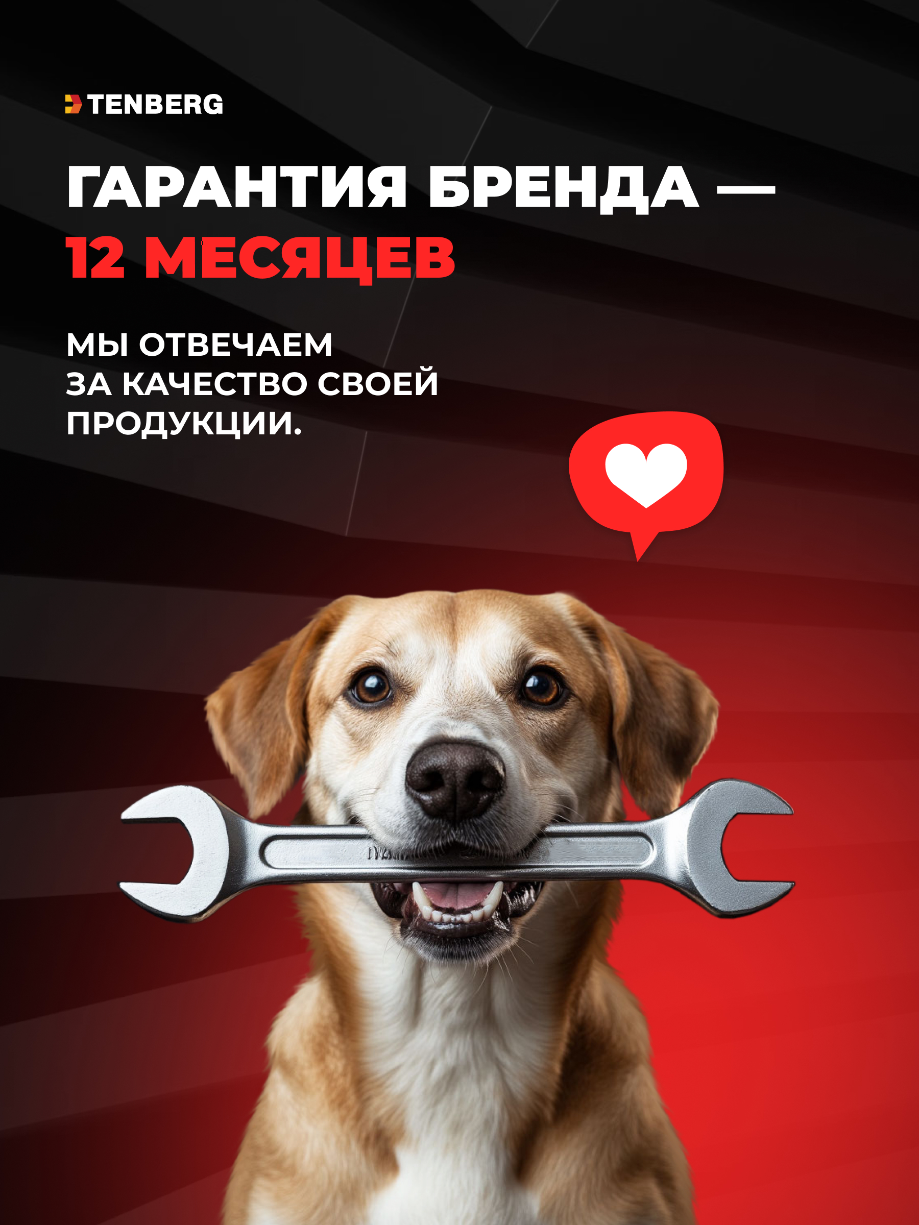 Автокормушка TENBERG Yummy X2 SUS 304 - фото 15