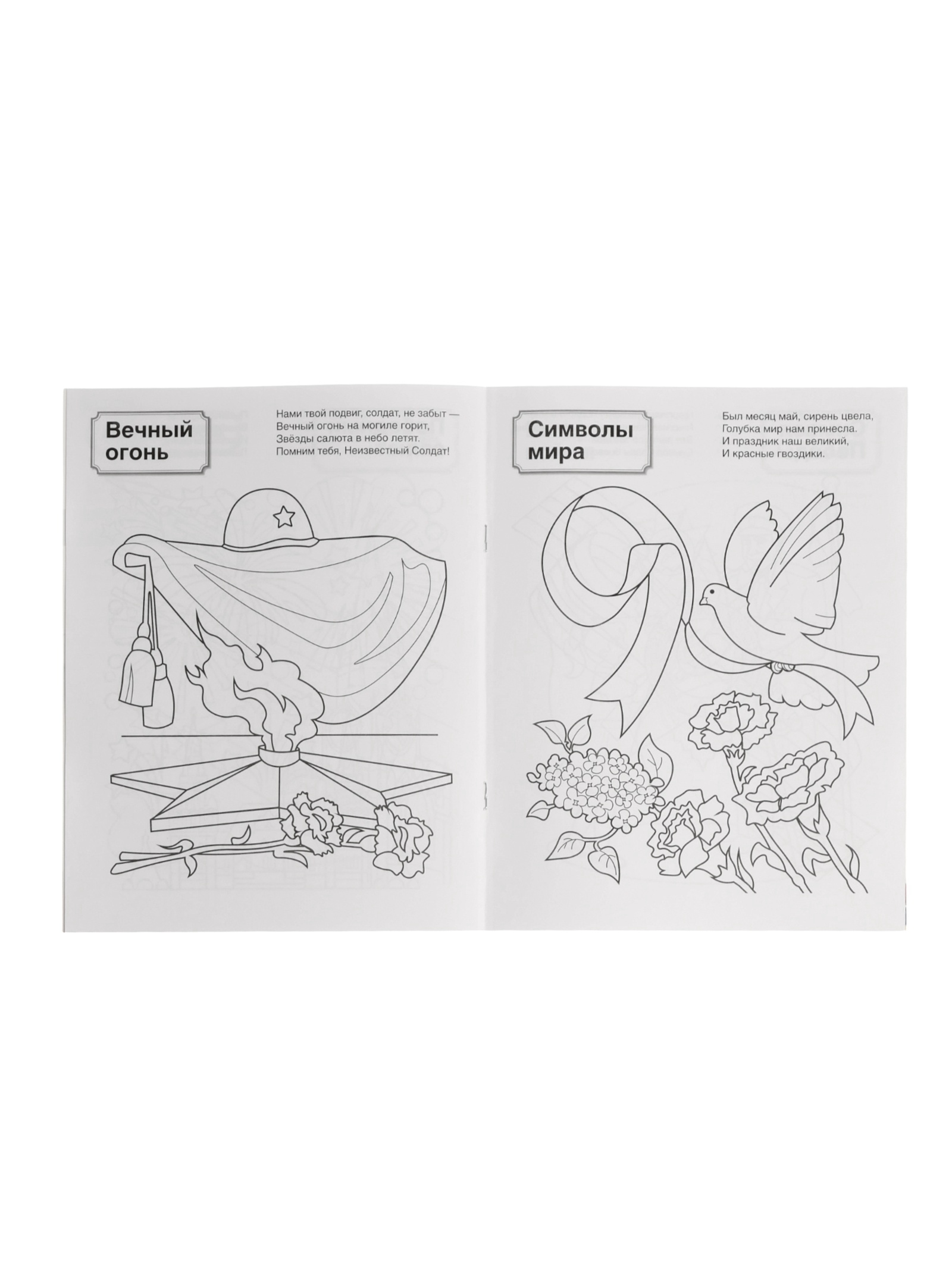 Патриотическая раскраска Сфера Я люблю Россию комплект из 4 раскрасок - фото 5