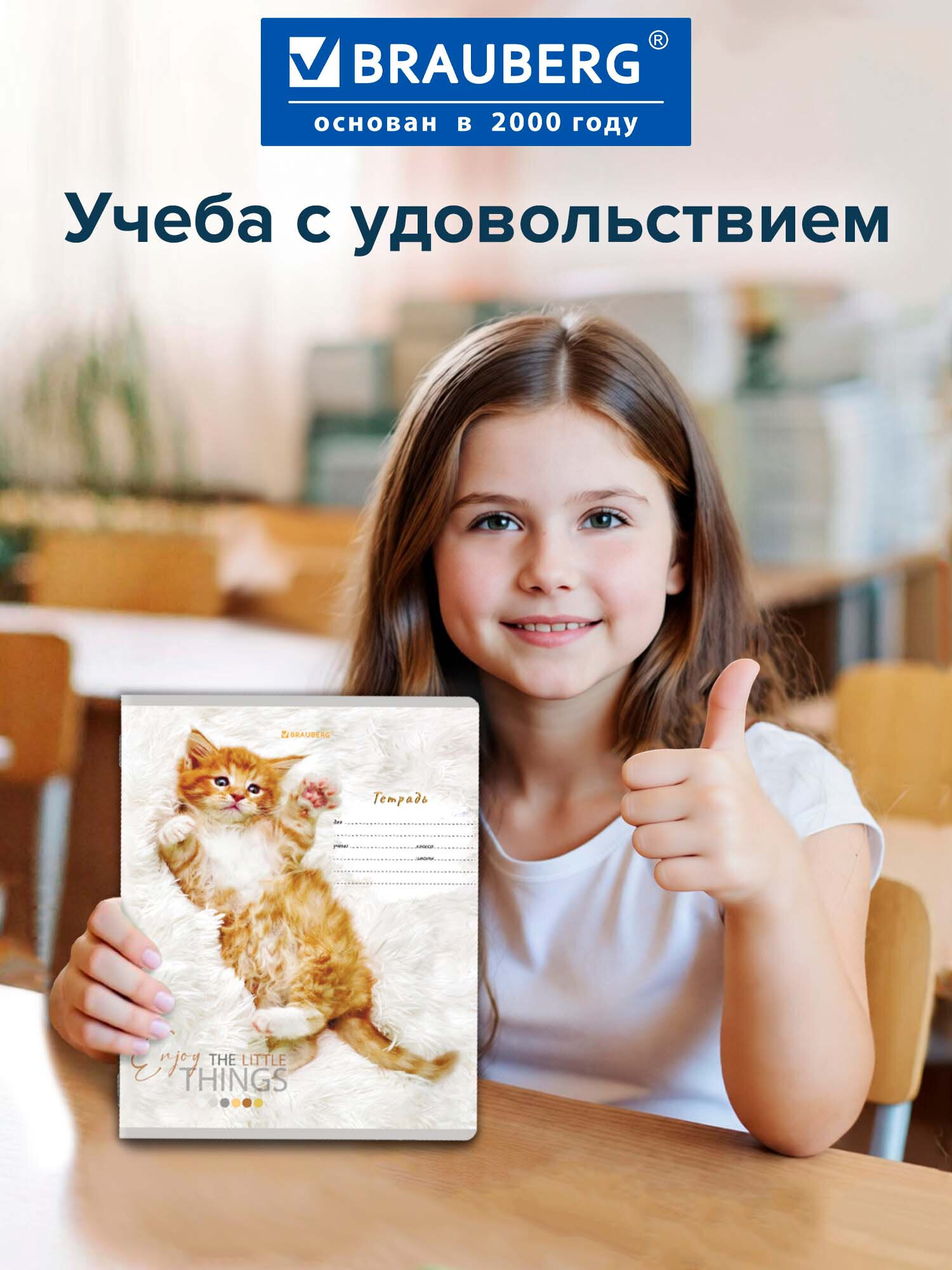 Тетрадь Brauberg клетка 12 лист. 10 шт. - фото 4