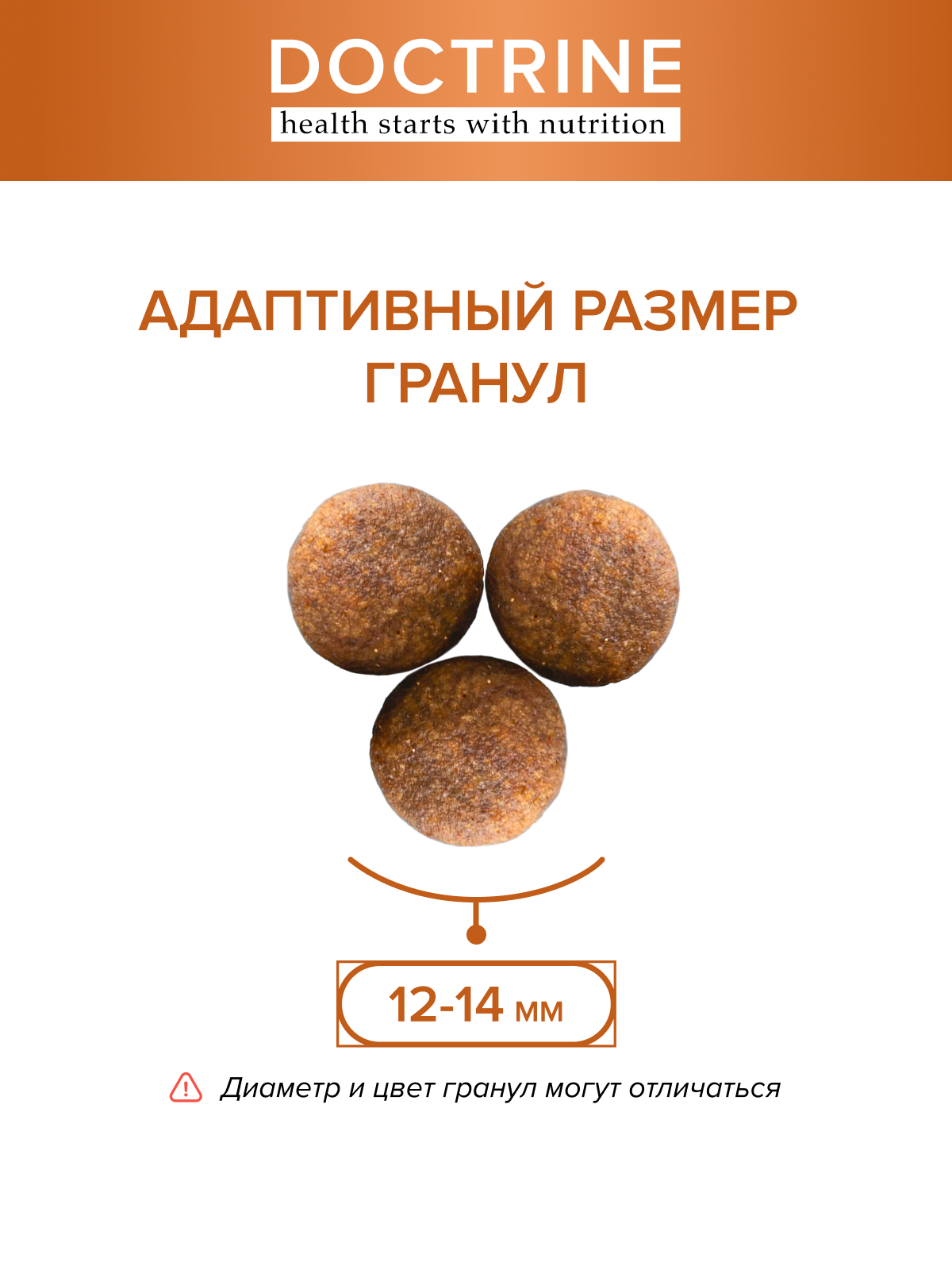 Корм для взрослых собак DOCTRINE сухой с индейкой и рисом 800 г - фото 4