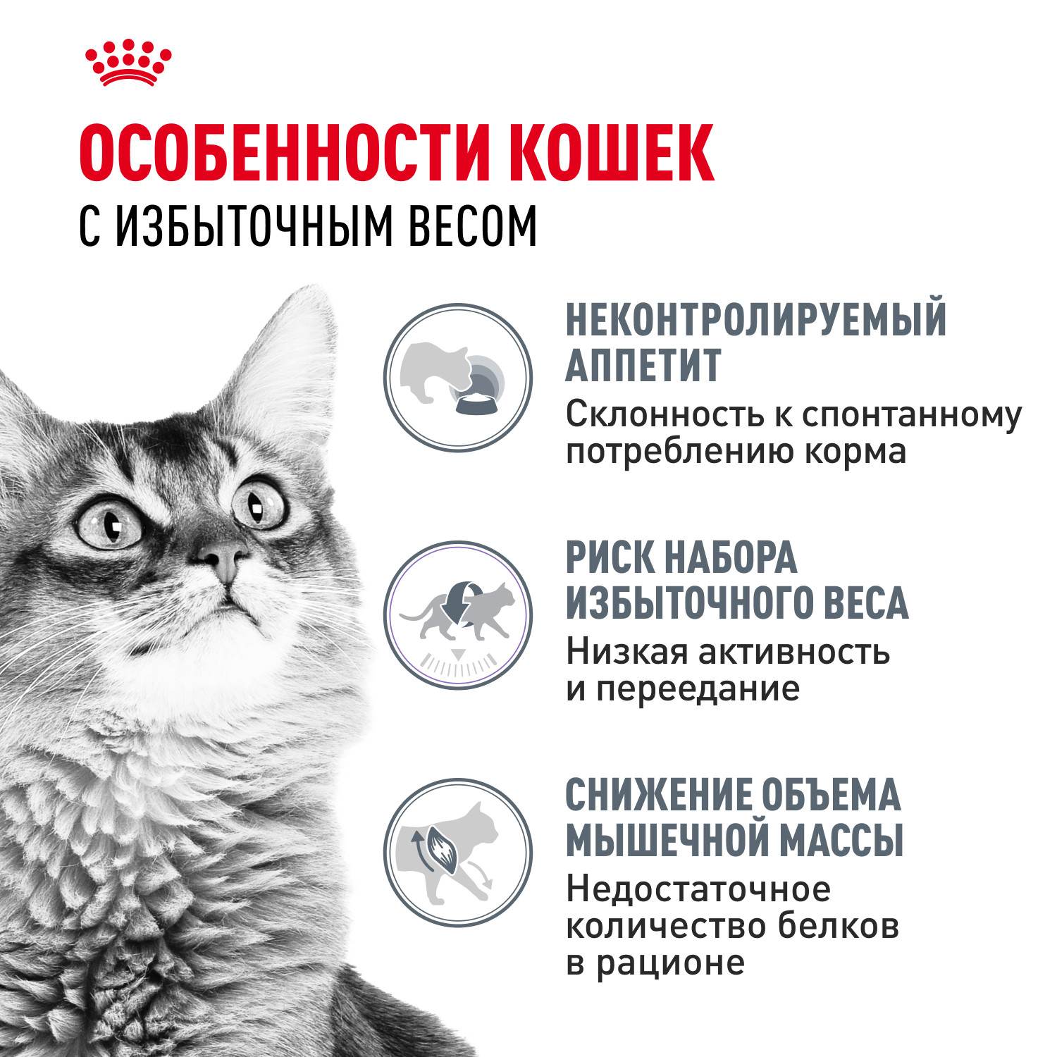Корм для кошек ROYAL CANIN Light Weight Care для взрослых кошек в целях профилактики избыточного веса 3кг - фото 2