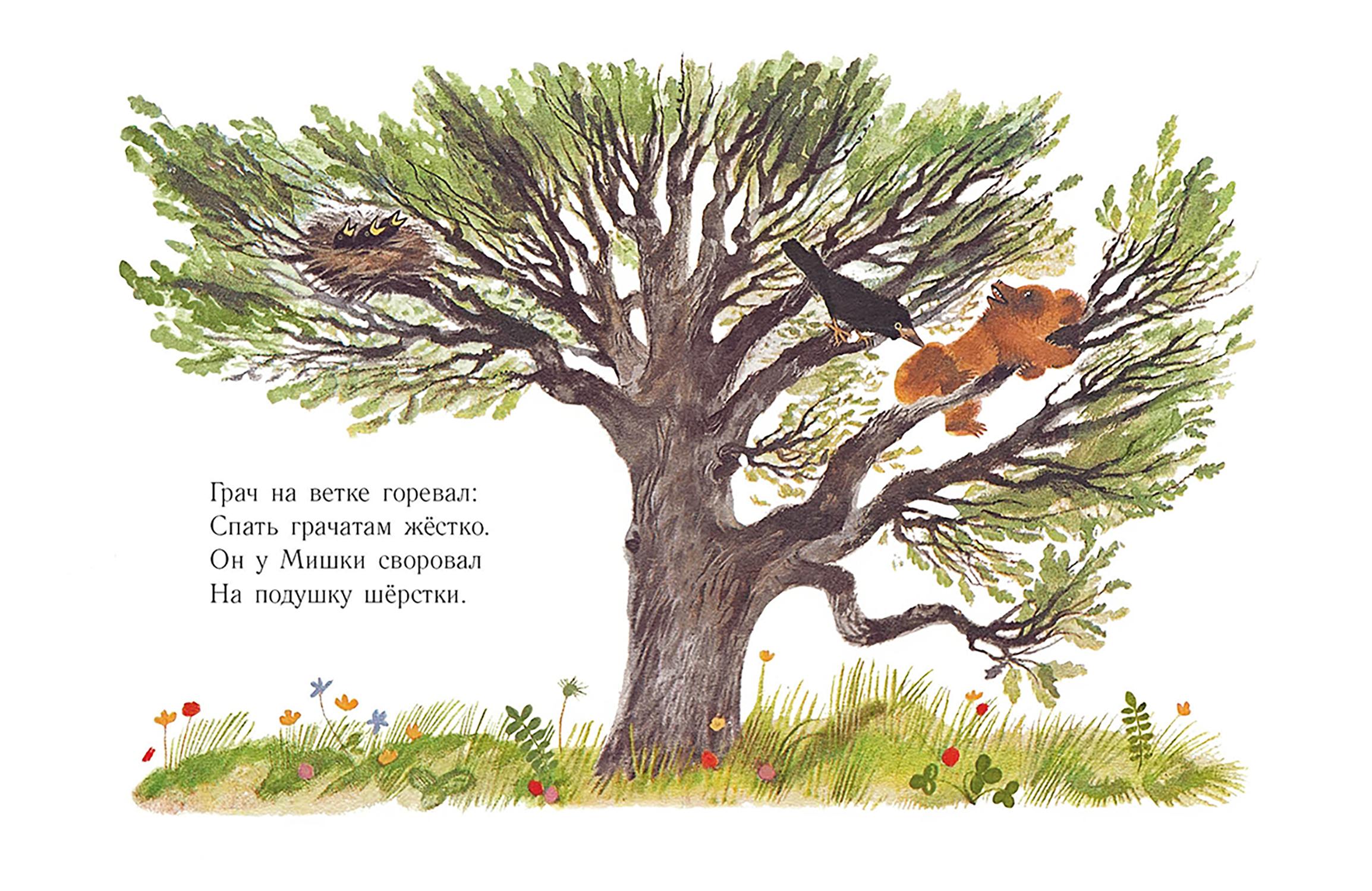 Книга Издательство Речь Мишка - фото 8