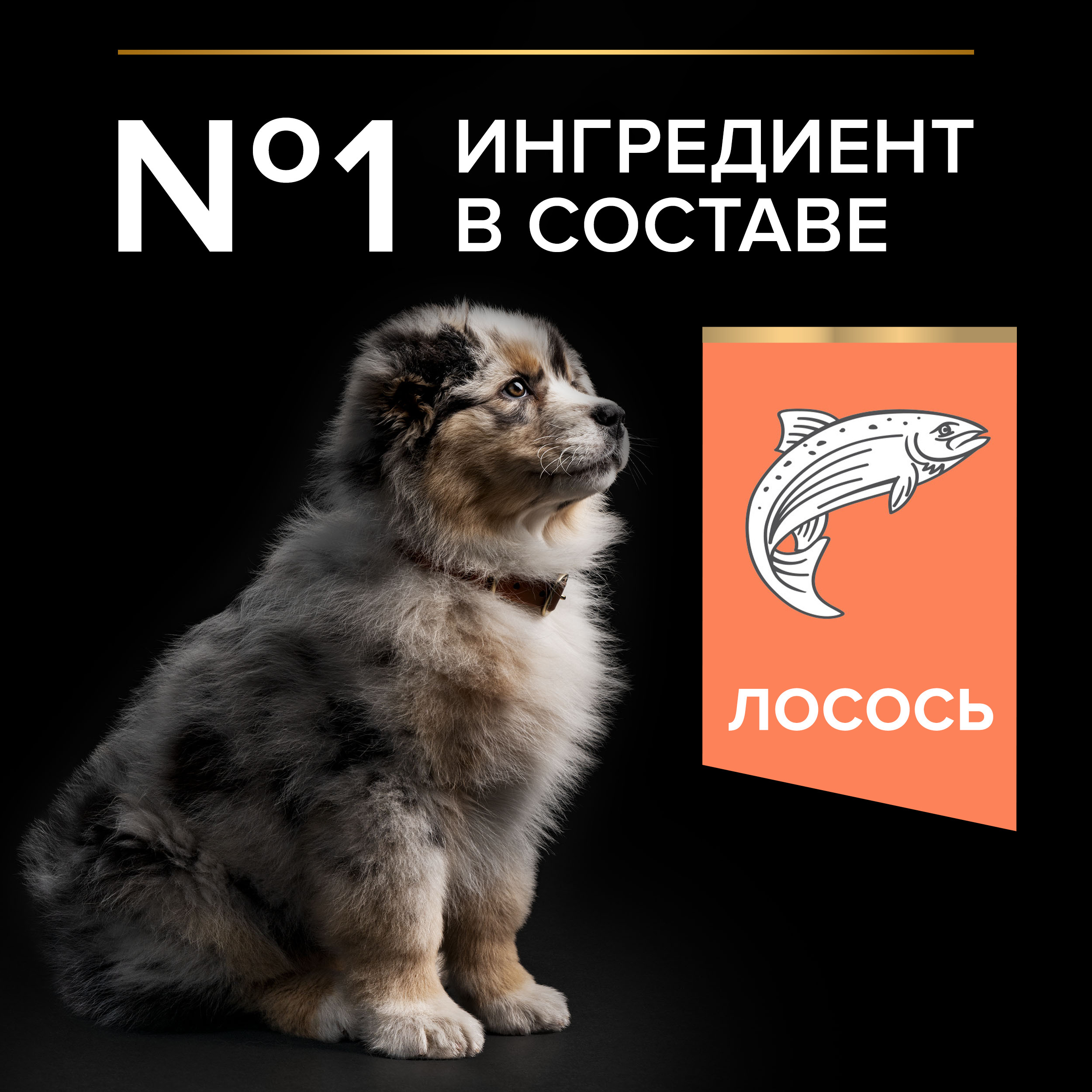 Корм сухой для щенков PRO PLAN SENSITIVE SKIN 3 кг с лососем для средних пород - фото 7