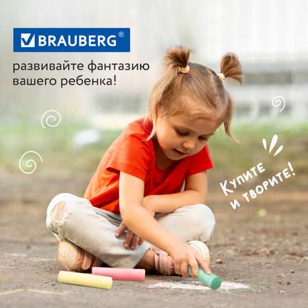 Мел сухой Brauberg 20 шт.