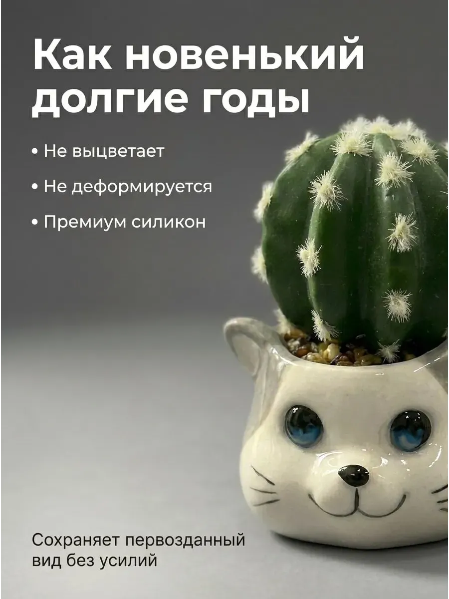 Искусственные цветы SOFANNA кошка 2 2 суккулент силикон - фото 3