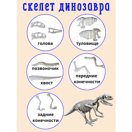 Набор для опытов VSEVERA Тираннозавр опыты