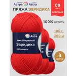 Пряжа Astra Premium Эвридика шерстяная 100 г 200 м 09 красный 3 мотка
