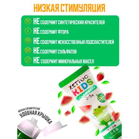 Зубная паста Nippon Zettoc