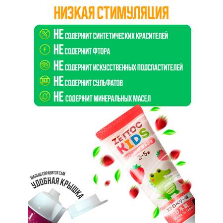 Зубная паста Nippon Zettoc