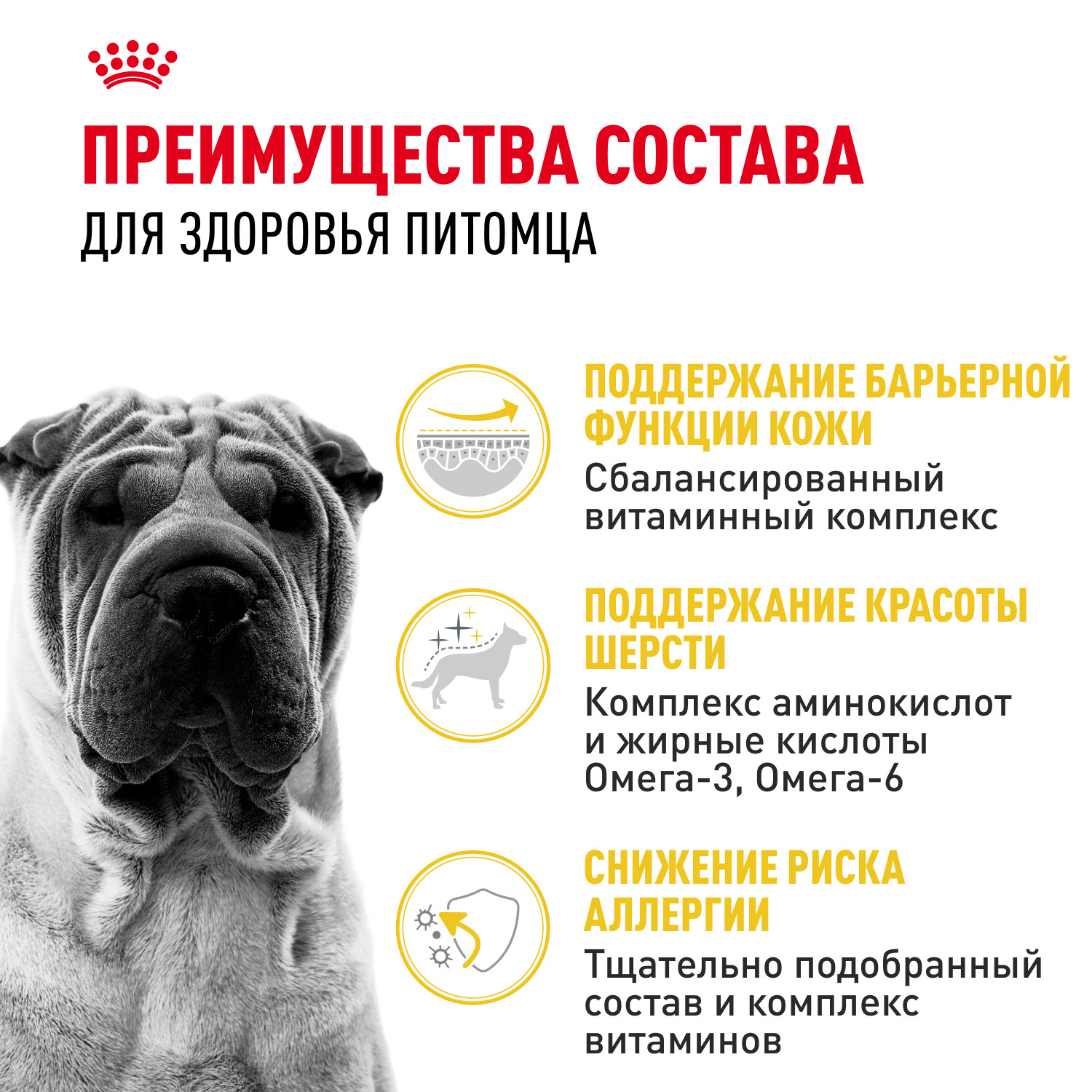 Корм для собак ROYAL CANIN Medium Dermacomfort средних пород склонных к кожным раздражениям и зуду 3кг - фото 3