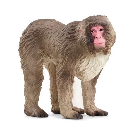 Фигурка SCHLEICH Японская макака