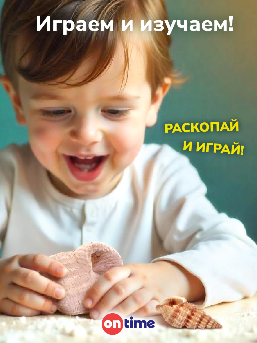 Набор для раскопок ON TIME Ракушка - фото 3