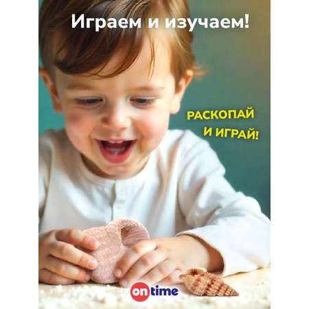 Набор для раскопок ON TIME Ракушка