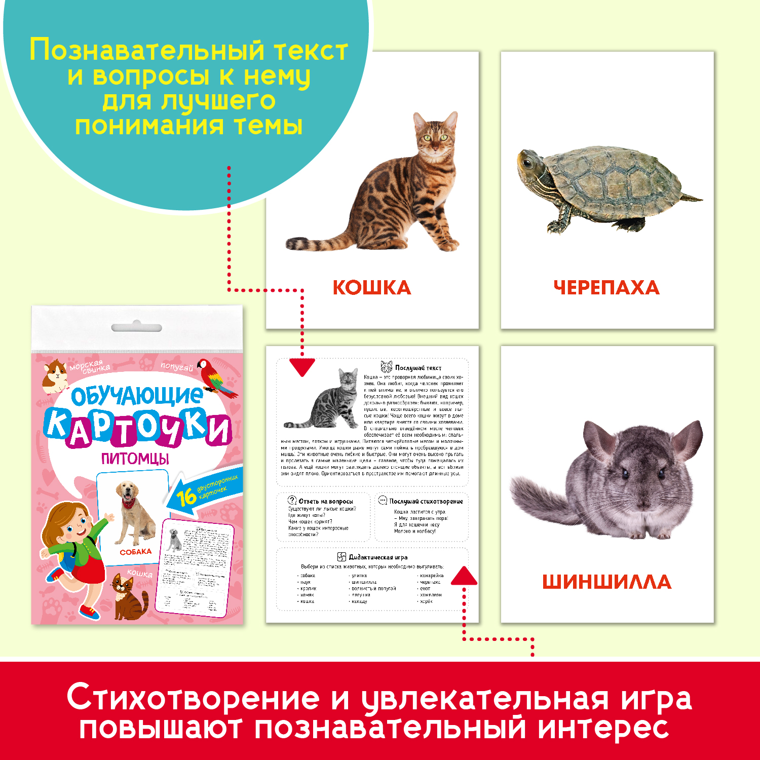 Карточки Проф-Пресс обучающие 3 комплекта по 16 шт 17х22 см. Дикие+Домашние животные+Питомцы - фото 3