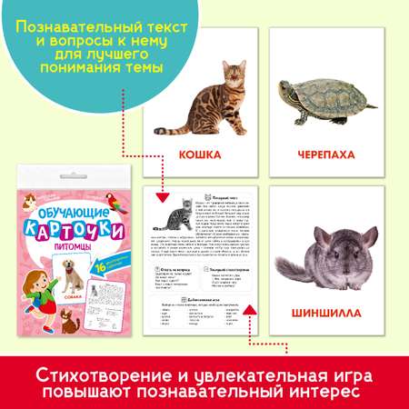 Карточки Проф-Пресс обучающие 3 комплекта по 16 шт 17х22 см. Дикие+Домашние животные+Питомцы