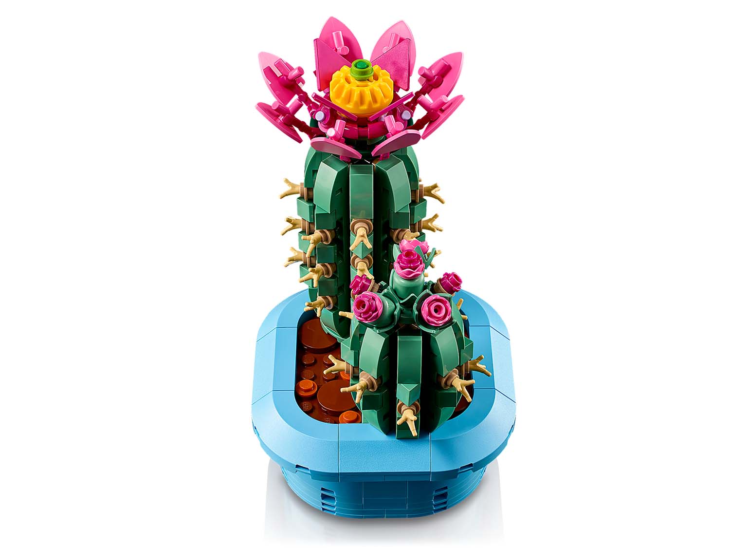 Конструктор LEGO Botanicals Цветущий кактус 482 дет. - фото 4