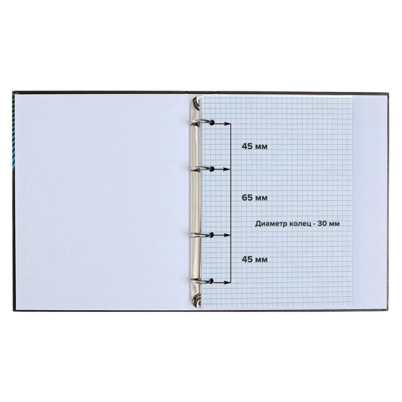 Тетрадь Calligrata клетка - фото 2