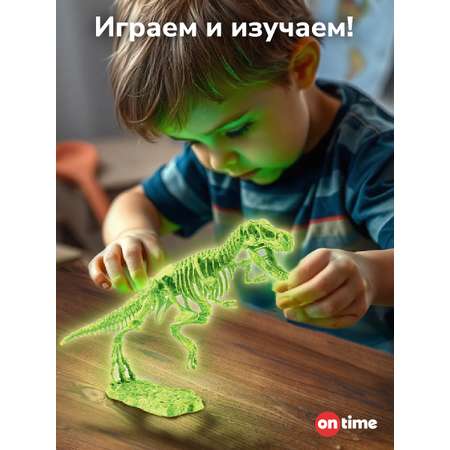 Набор для раскопок ON TIME