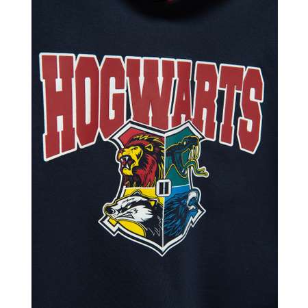 Худи Harry Potter