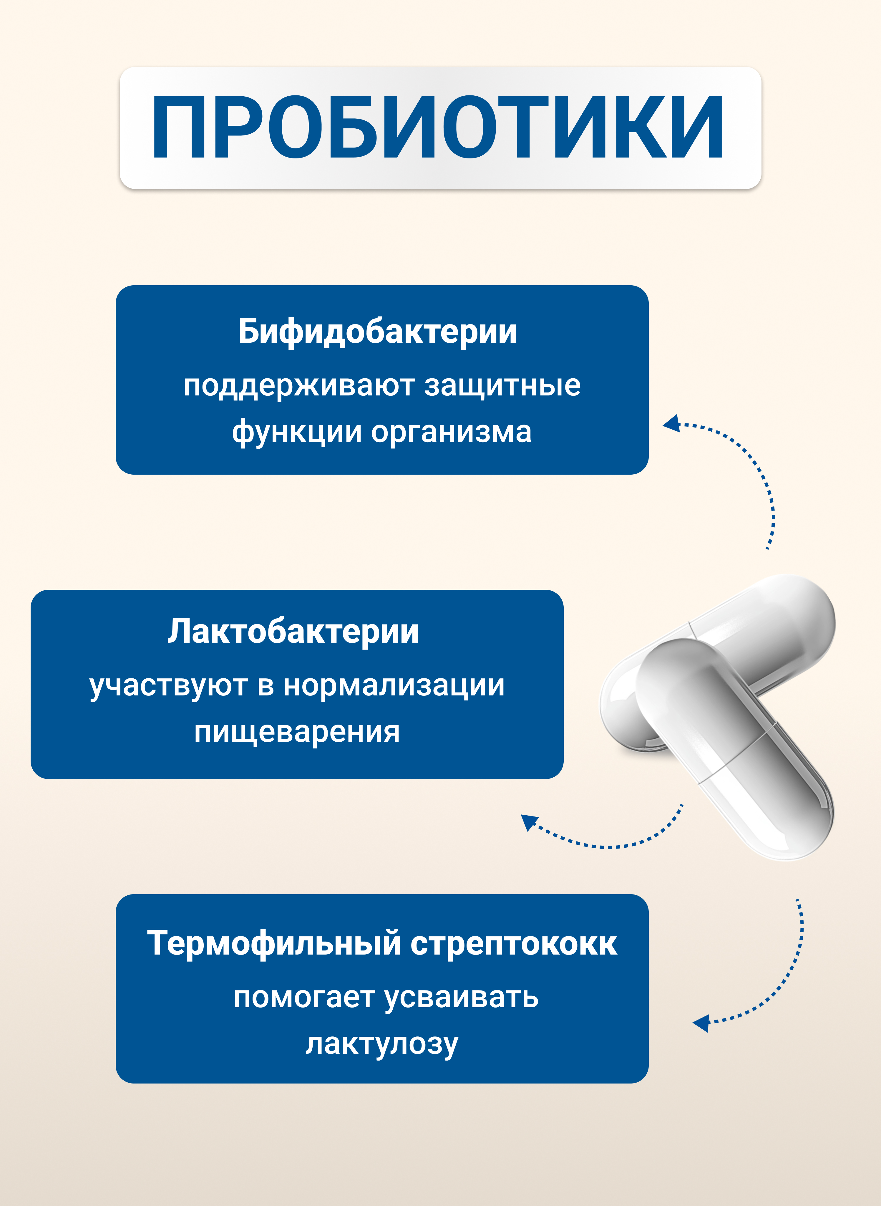 Комплекс пробиотиков Премиум Daily Guard капсулы №10 - фото 3