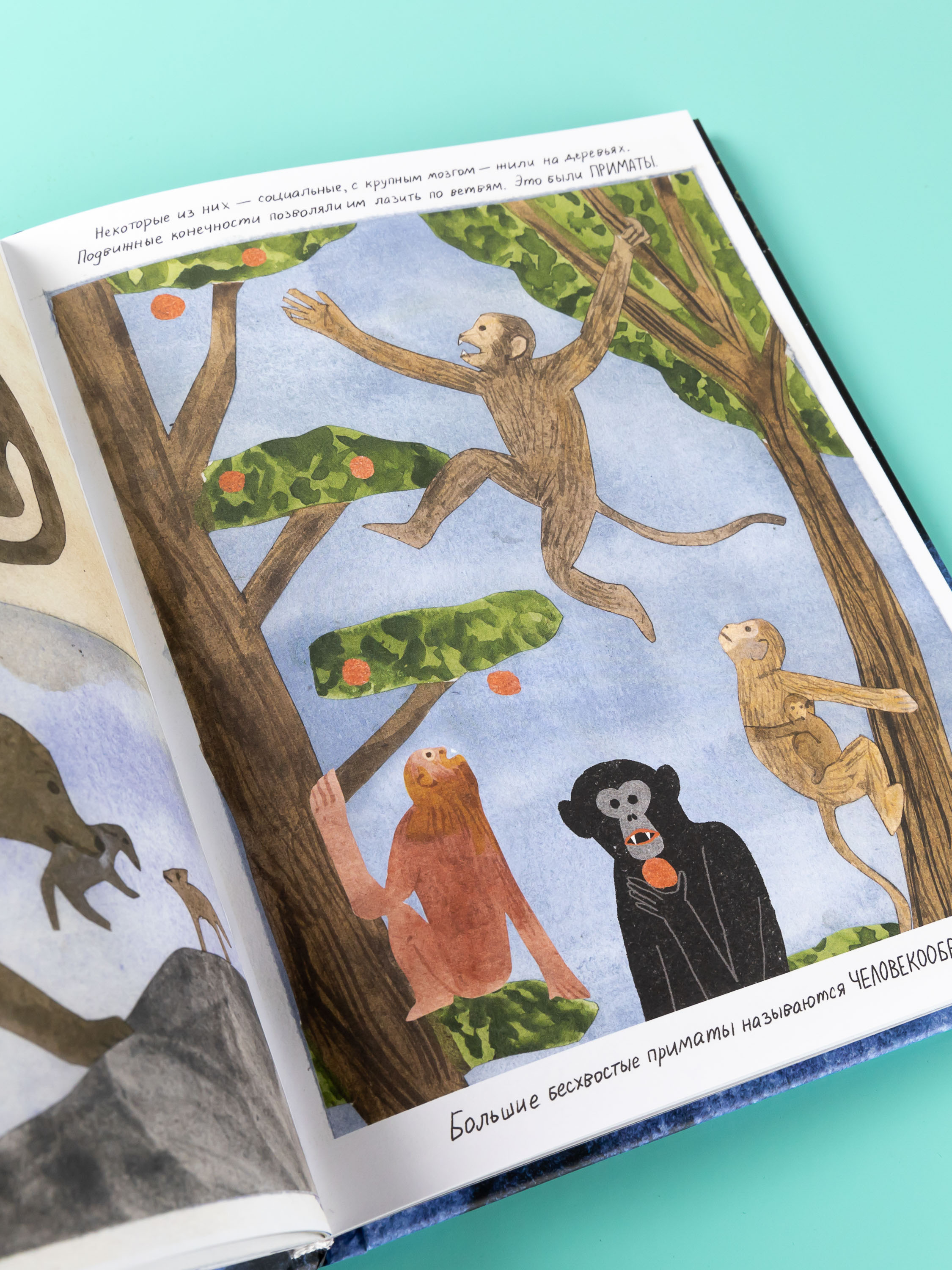 Книга Альпина. Дети Жизнь какой мы её знаем - фото 4