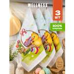 Полотенце Wellness Лучик 38 x 63 см 3 шт.