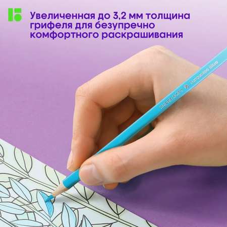Карандаши цветные BERLINGO 72 шт.
