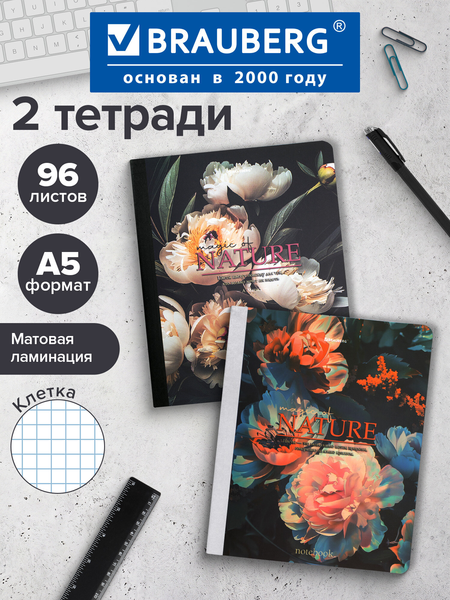Тетрадь Brauberg клетка 96 лист. 2 шт. - фото 1