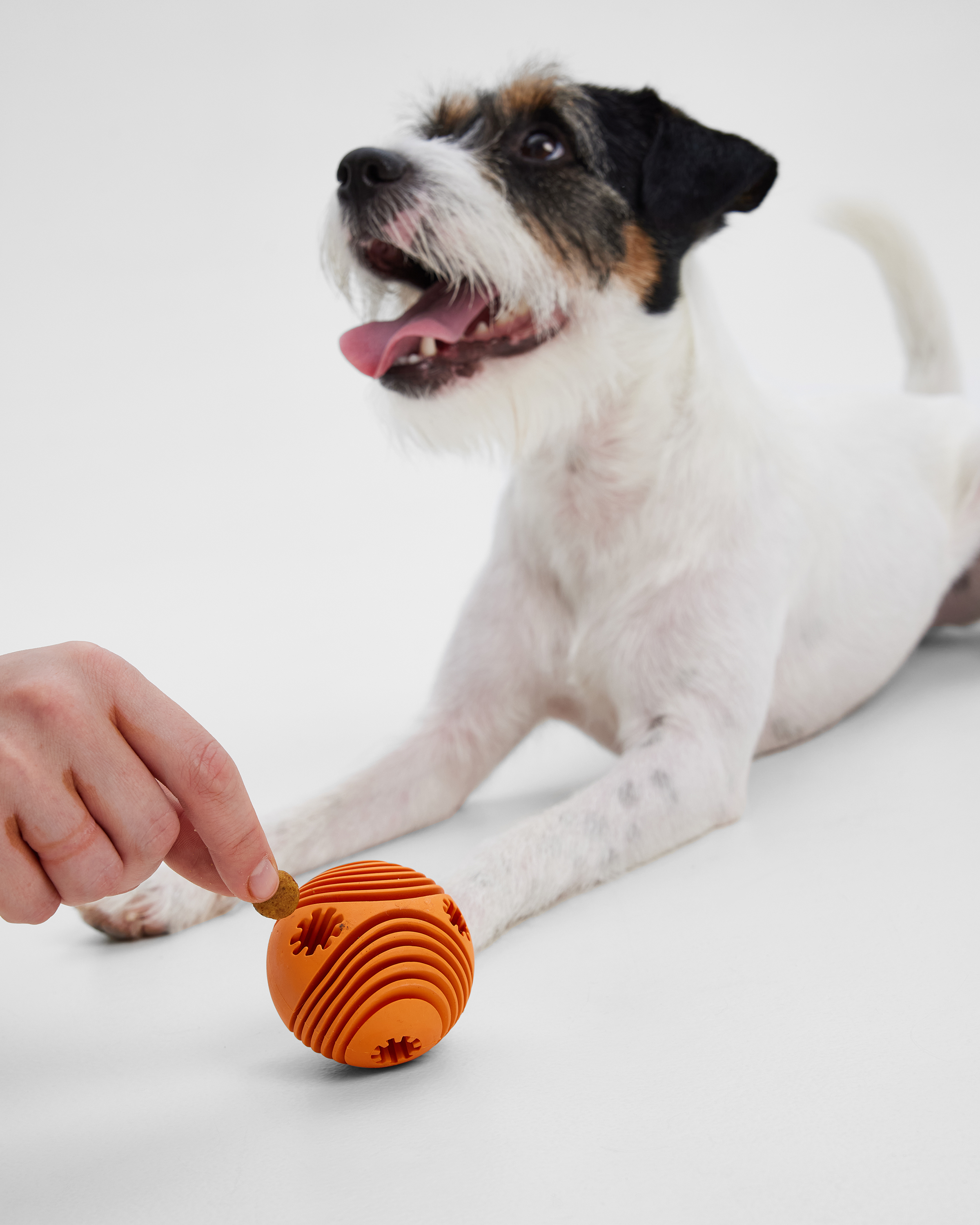 Игрушка для собак Barbaks Мяч-погрызайка оранжевый внутрь можно класть лакомства диаметр 6.3см резина - фото 3