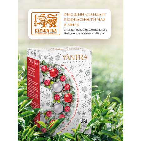 Чай Winter Yantra черный среднелистовой с клюквой Снежная клюква 100 г