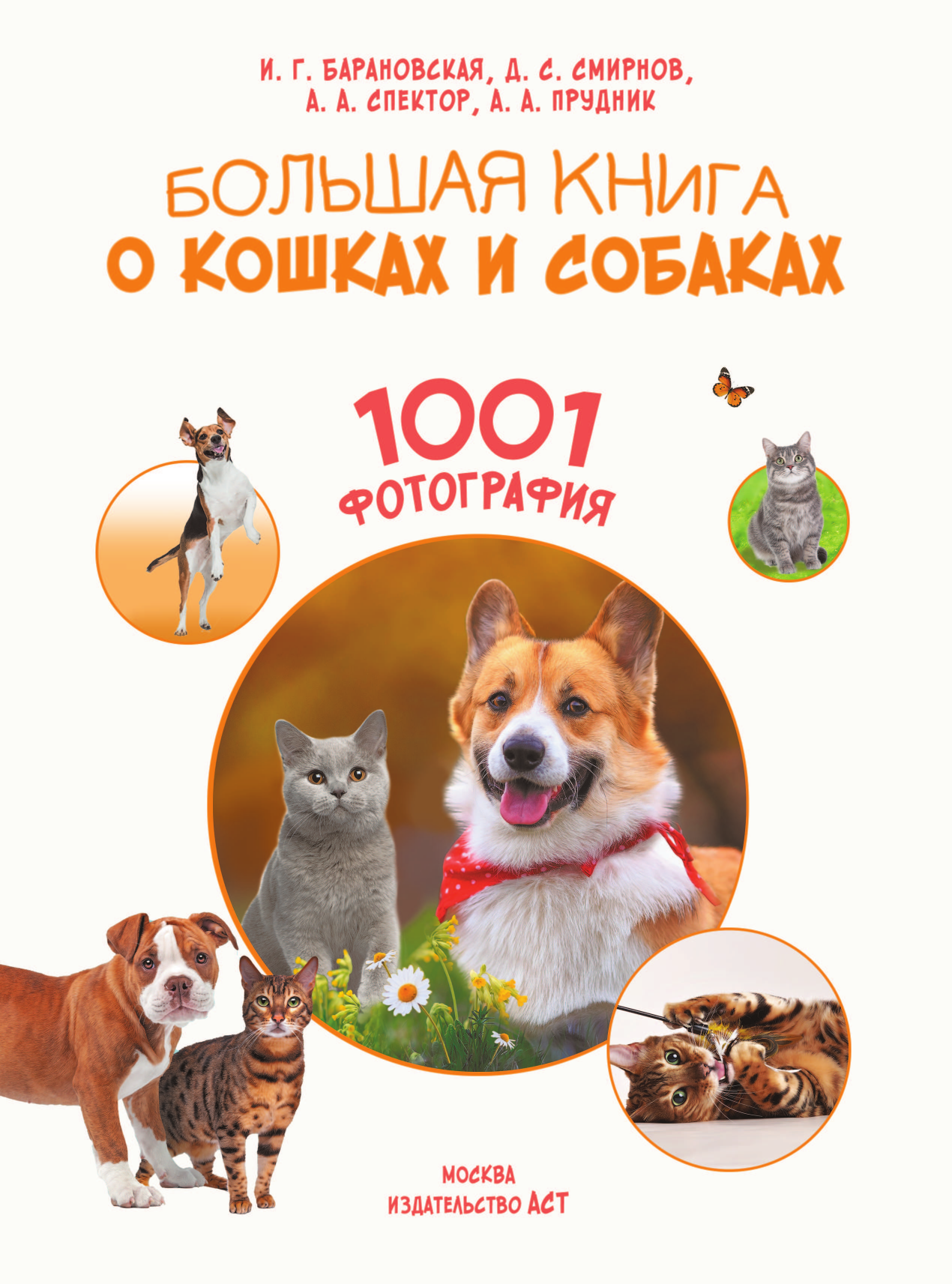 Книга АСТ Большая книга о кошках и собаках 1001 фотография - фото 5