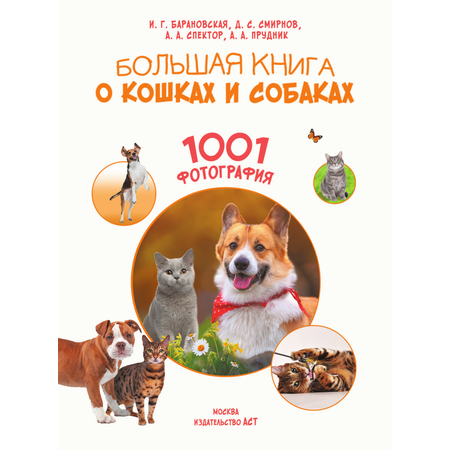 Книга АСТ Большая книга о кошках и собаках 1001 фотография