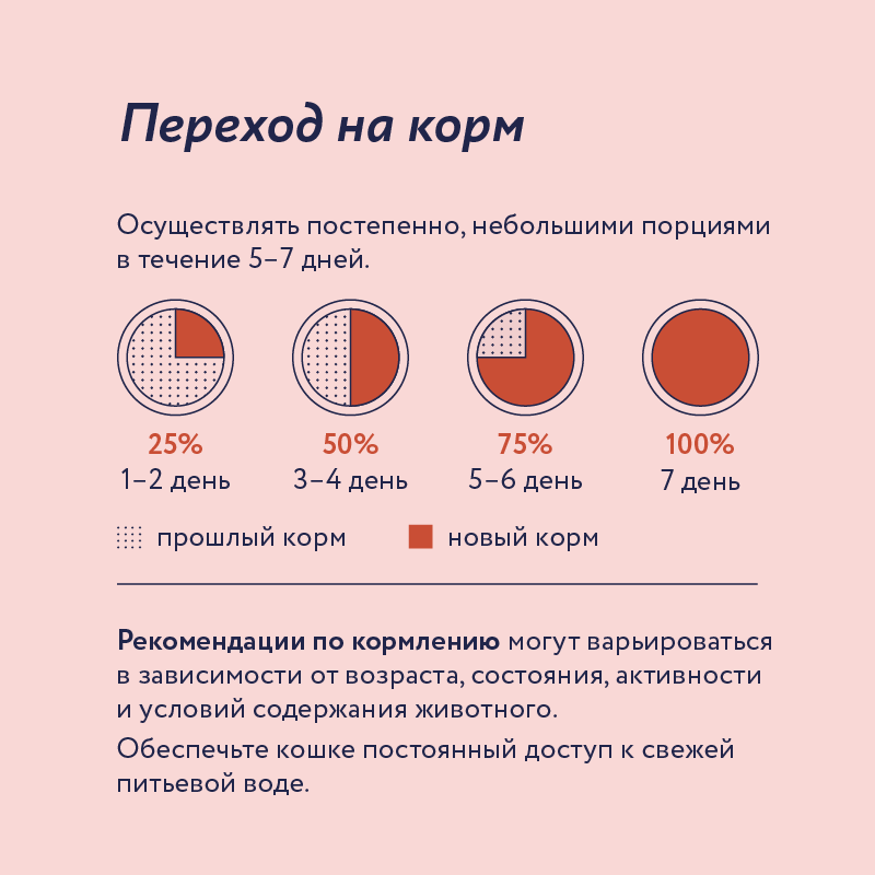 Консервы для кошек Florida Перепелка с брусникой 100г - фото 6