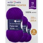 Пряжа Astra Premium Галатея акриловая 100 г 250 м 15 темно-фиолетовый 3 мотка