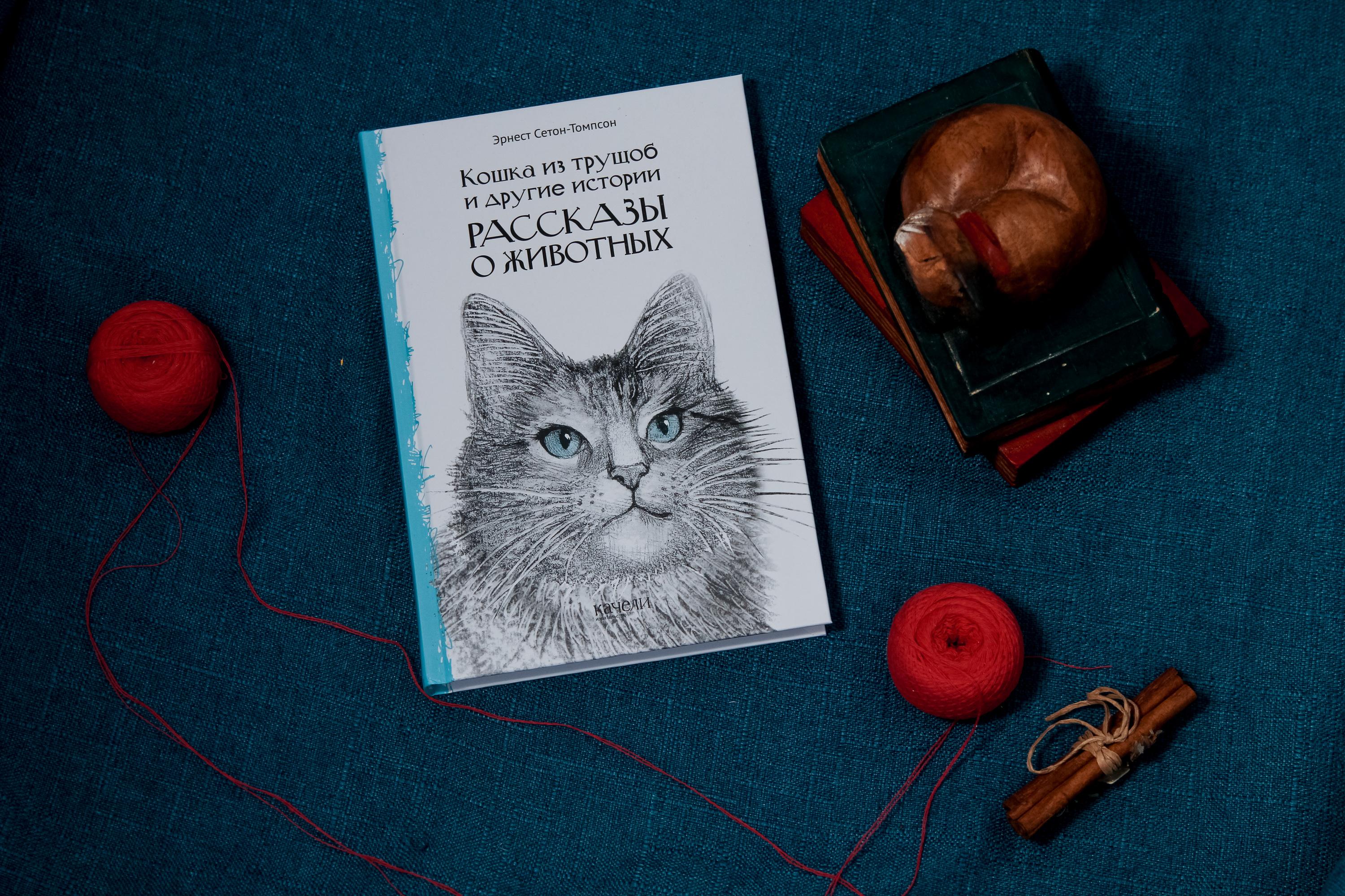 Книга Качели Кошка из трущоб и другие истории - фото 3