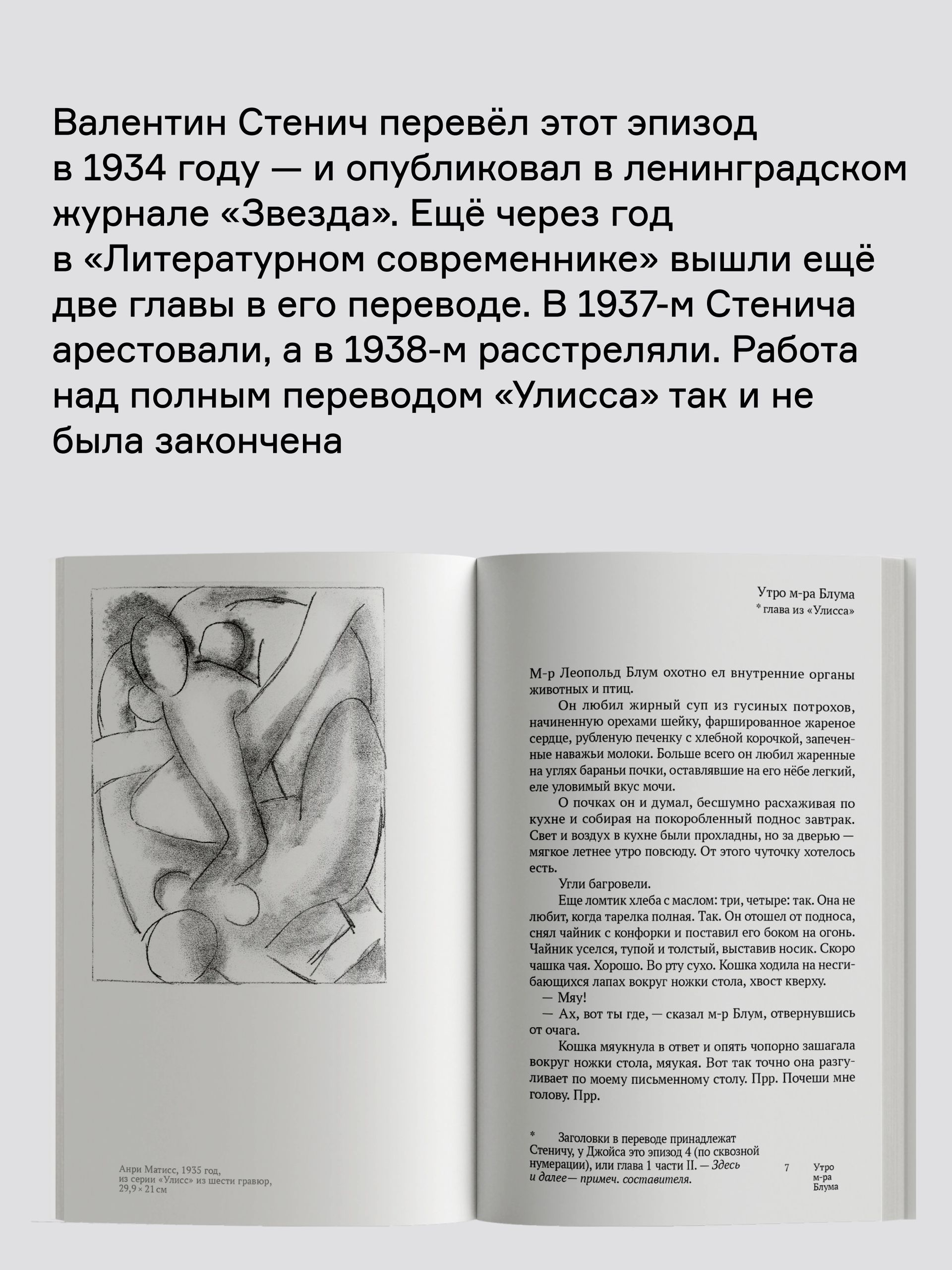 Книга Ad Marginem Похороны Патрика Дигнэма - фото 9