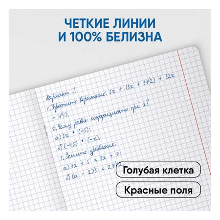 Общая тетрадь BG клетка 96 лист. 4 шт.