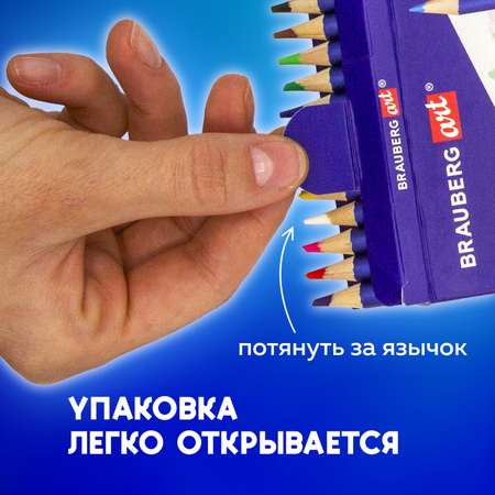 Карандаши цветные Brauberg 36 шт.