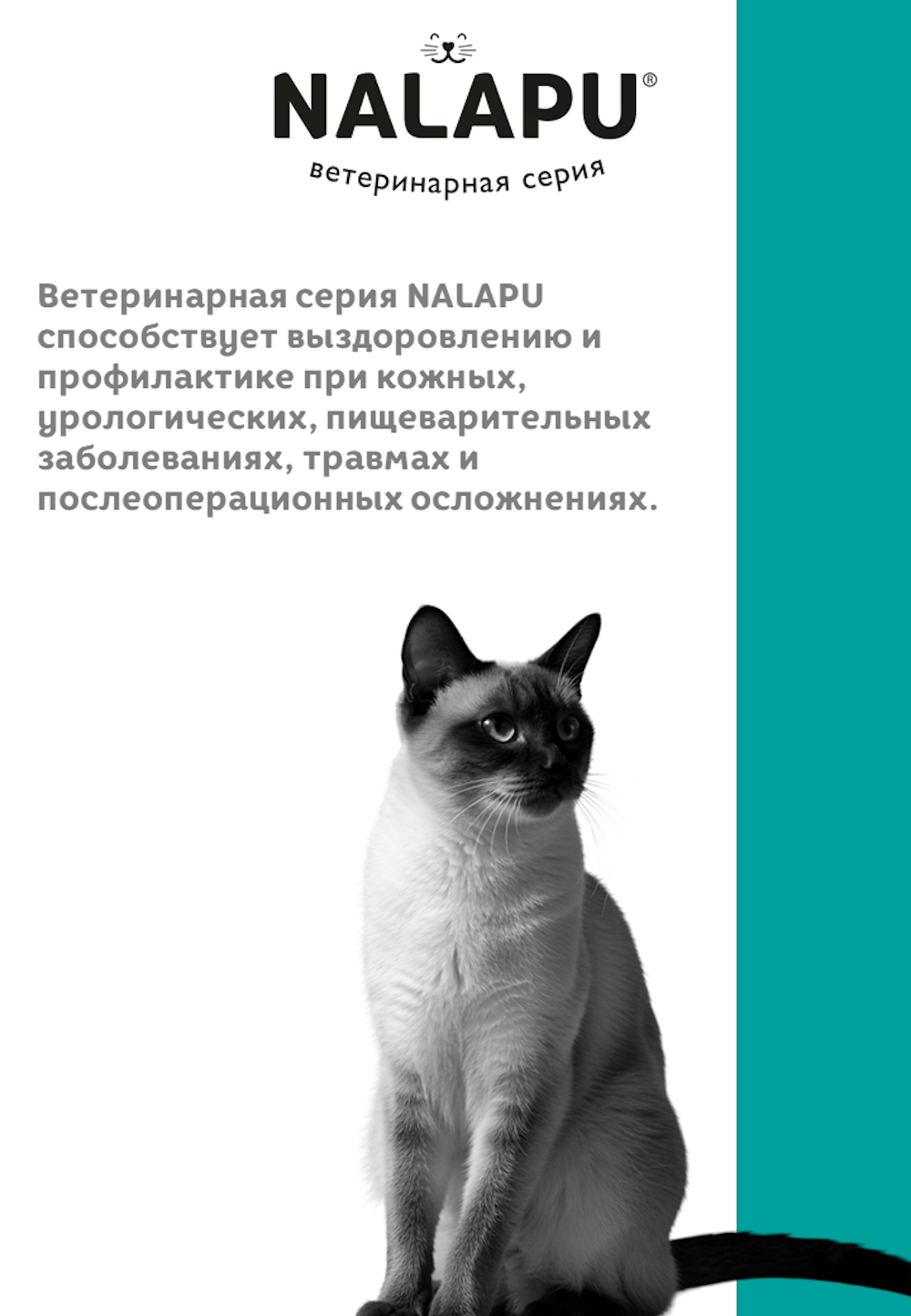 Корм для кошек NALAPU Hypoallergenic склонных к пищевой аллергии или непереносимости 77г - фото 4