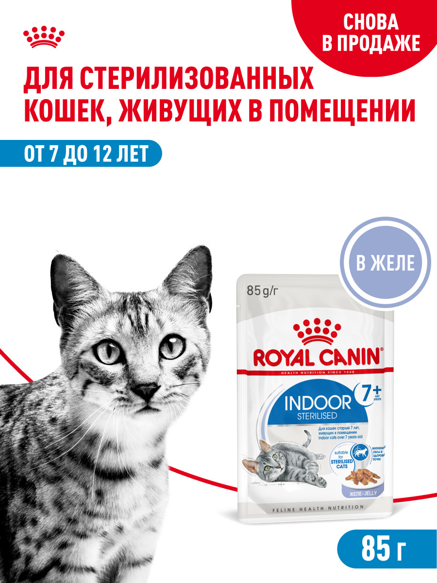 Корм для кошек ROYAL CANIN Indoor 85г для пожилых стерилизованных кошек 7+ желе пауч - фото 1