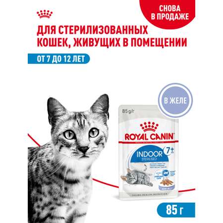 Корм для кошек ROYAL CANIN Indoor 85г для пожилых стерилизованных кошек 7+ желе пауч