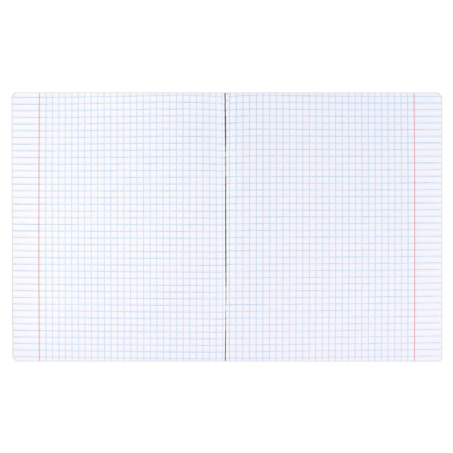 Тетрадь Феникс + 48 лист. 1 шт. (Английский язык) - фото 5