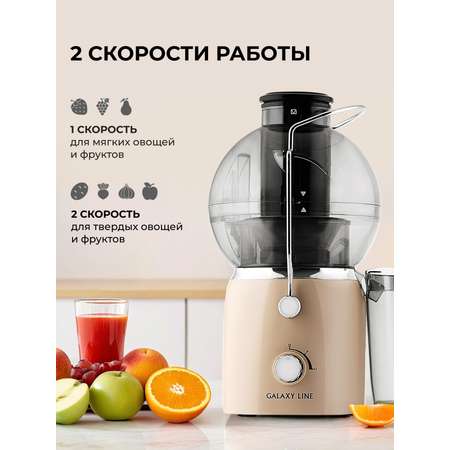 Соковыжималка Galaxy LINE GL0811 ДЫМЧАТАЯ РОЗА