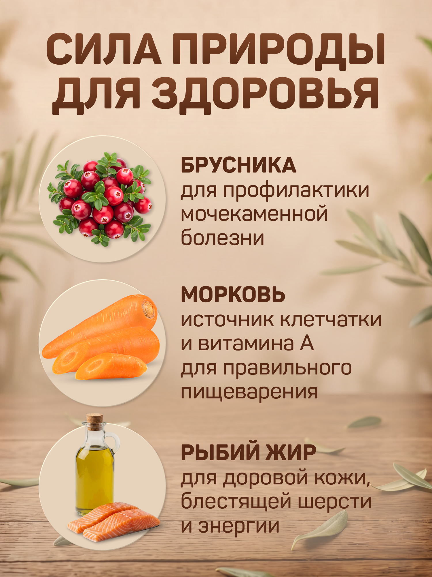 Корм для котят влажный Clan Classic Мясное ассорти с бараниной паштет ж/б 340г 6 шт. - фото 2