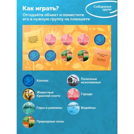 Настольная игра Игротека Природа и человек