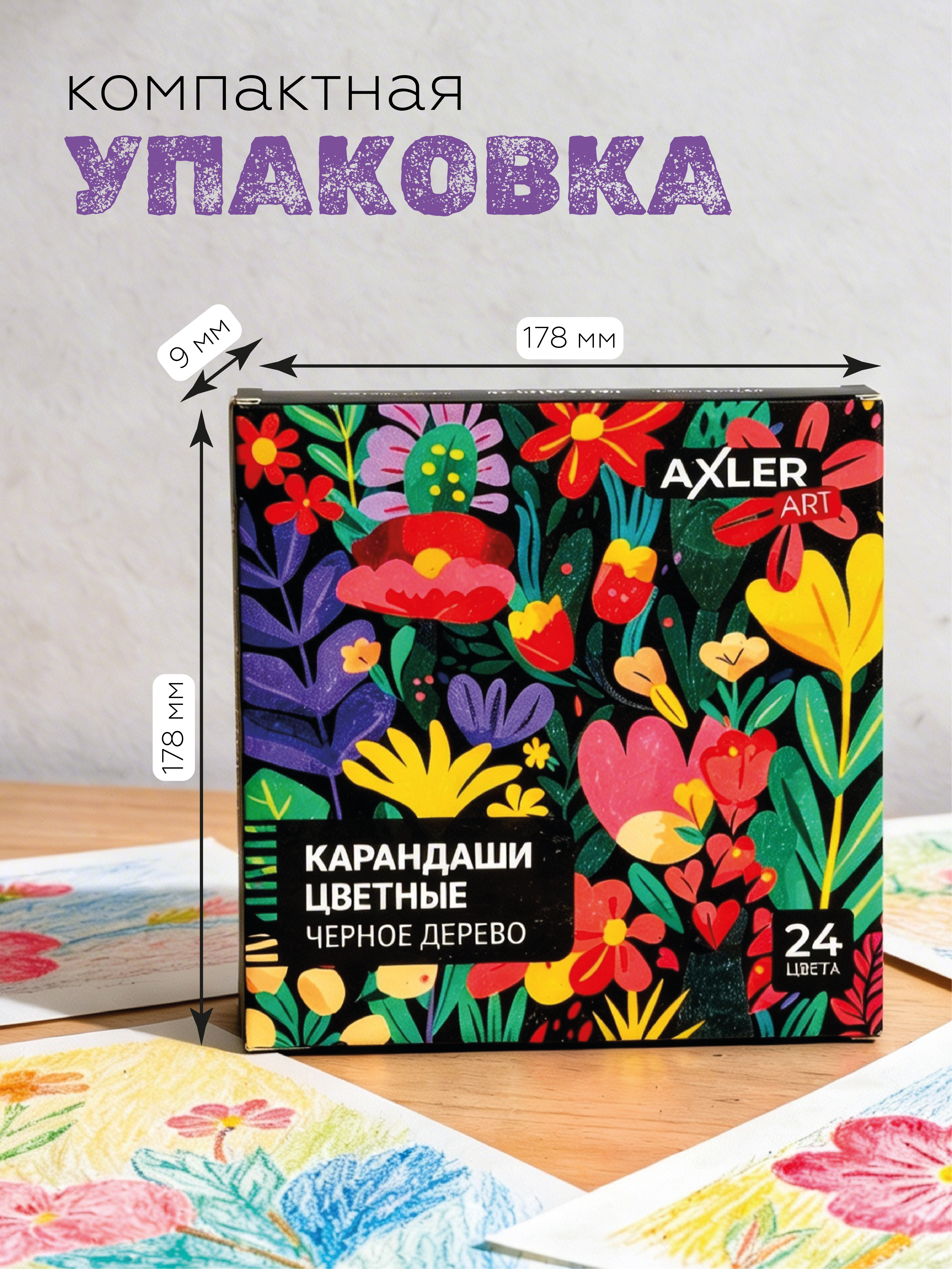 Карандаши цветные AXLER 24 шт. - фото 2