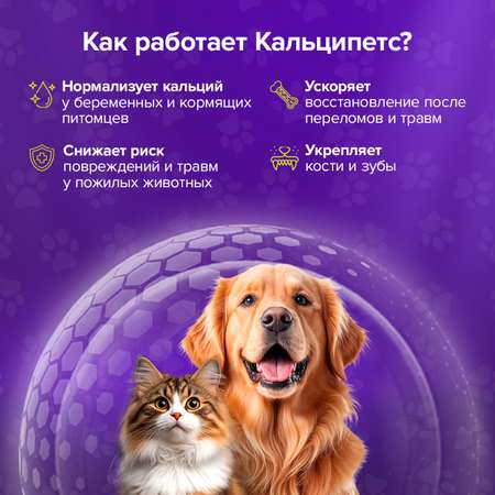 Корм для животных Pets health для поддержки костной ткани после травм и нагрузок собак и кошек
