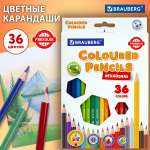 Карандаши цветные Brauberg 36 шт.