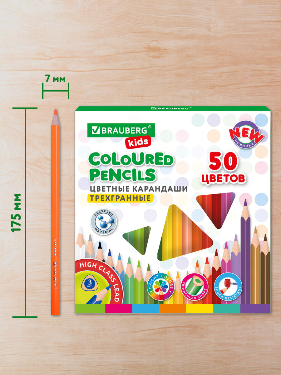 Карандаши цветные Brauberg 50 шт. - фото 6