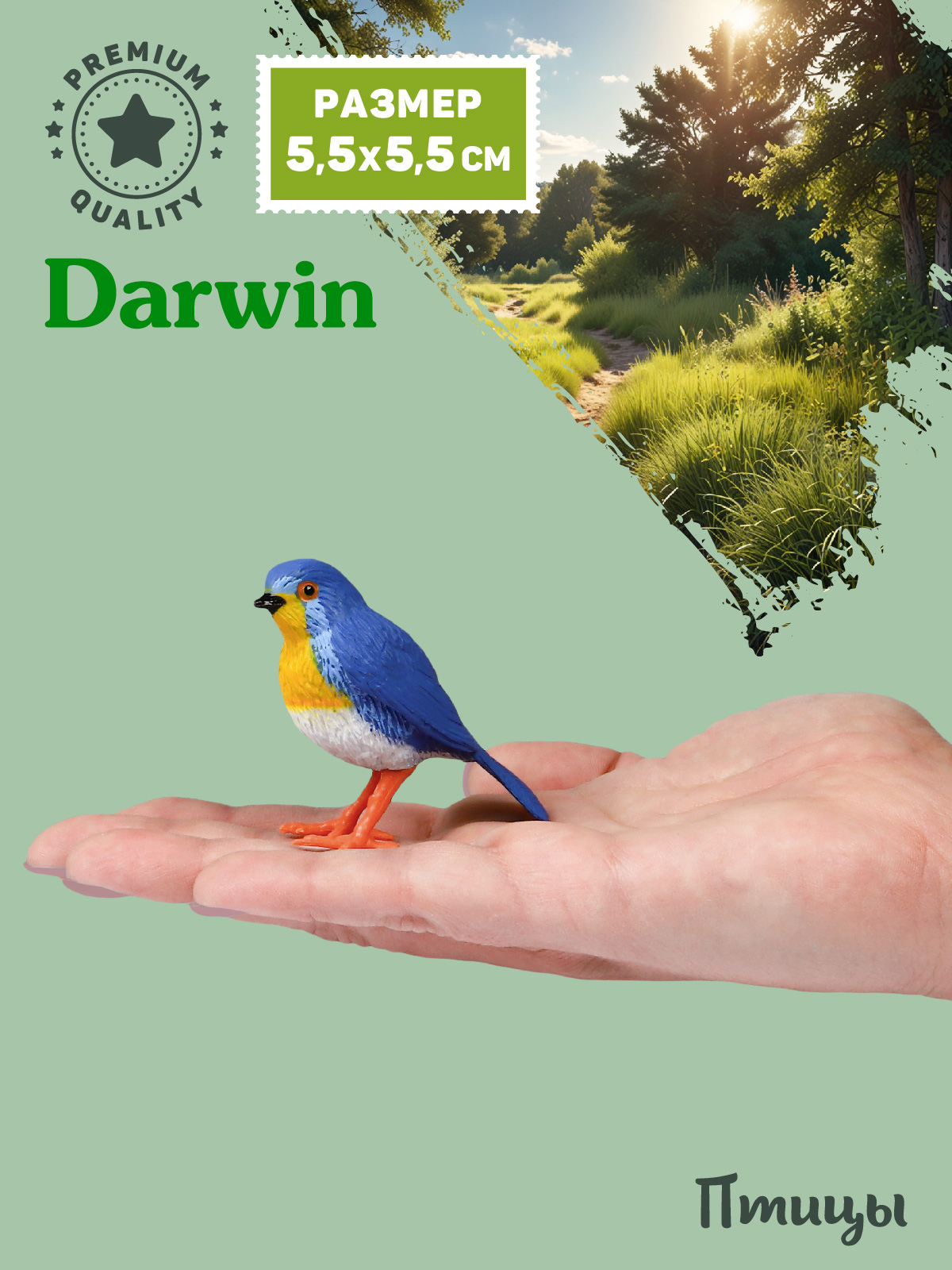 Фигурка DARWIN Птицы Малиновка - фото 2